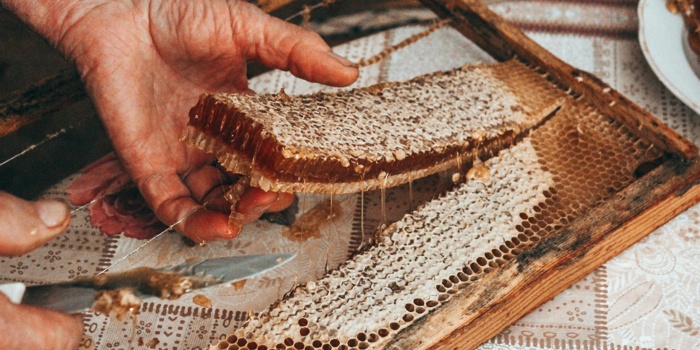 This Beekeeper Didn’t Plan to Save a Town—But He Did