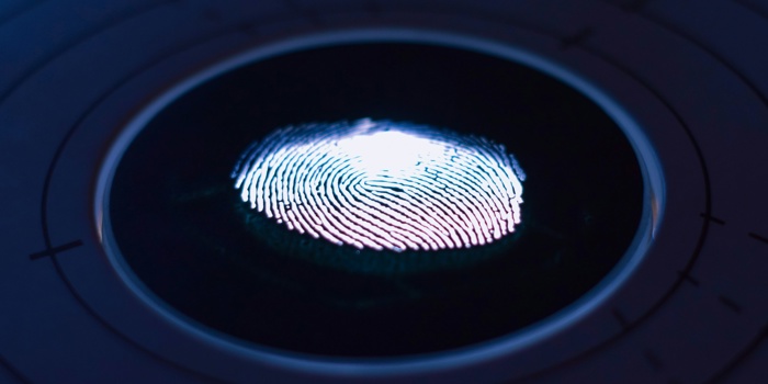 AI-Driven Policing: Innovation or Invasion of Rights?